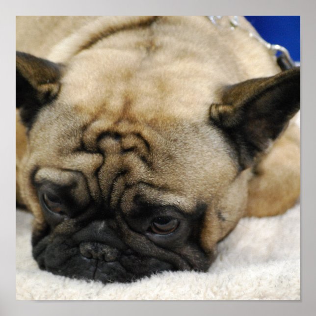 Customize Product Poster (Front)