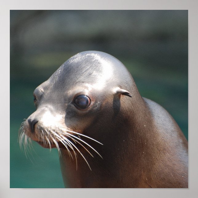 Customize Product Poster (Front)