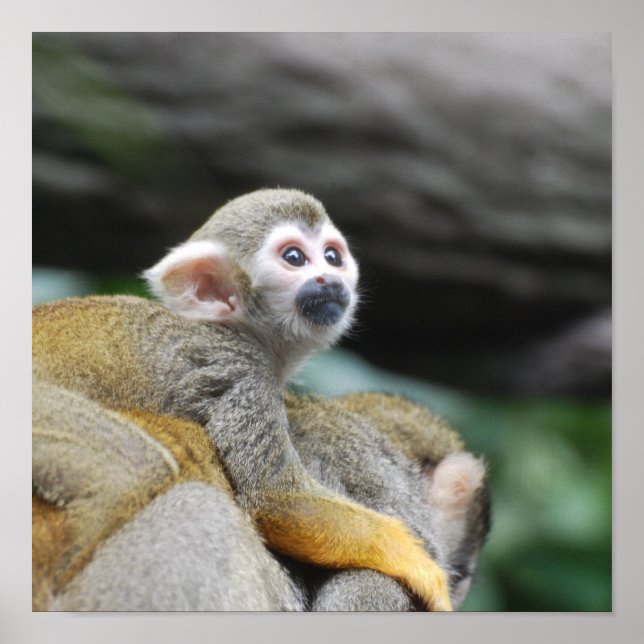 Customize Product Poster (Front)