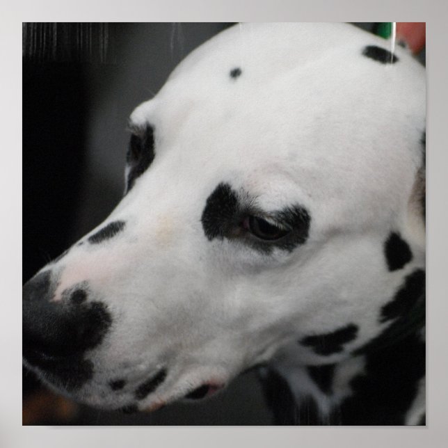 Customize Product Poster (Front)