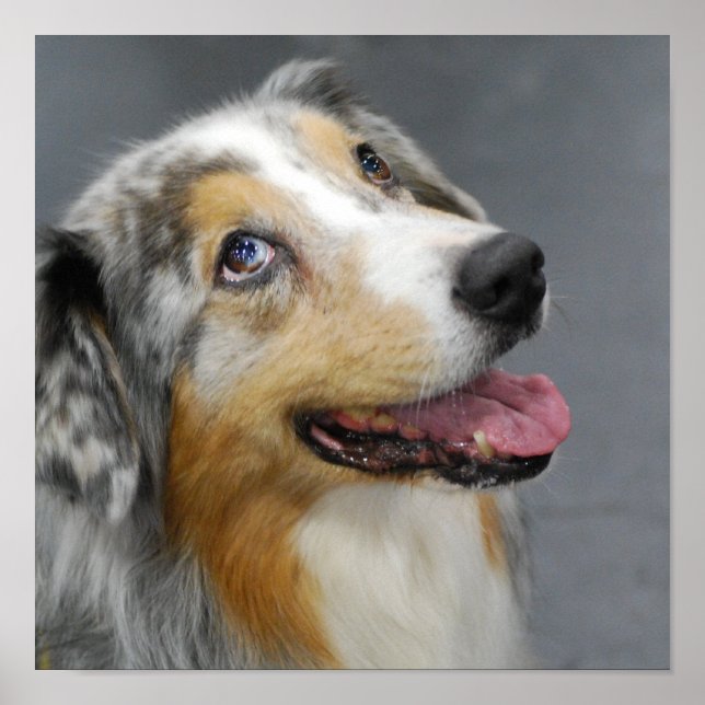 Customize Product Poster (Front)