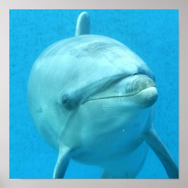 Customize Product Poster (Front)