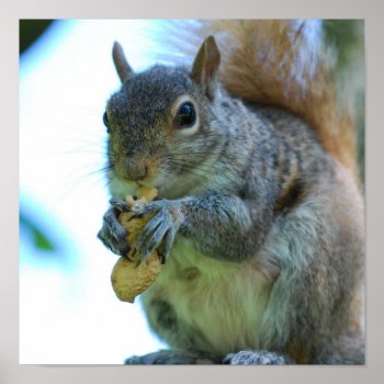 Customize Product Poster by WildlifeAnimals at Zazzle