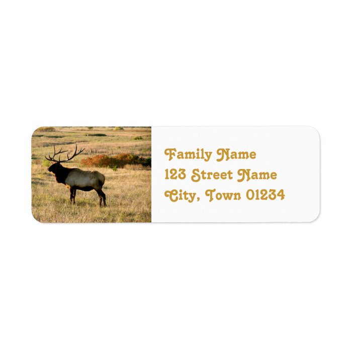 Customize Product Return Address Label