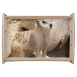 Customize Product Serving Tray