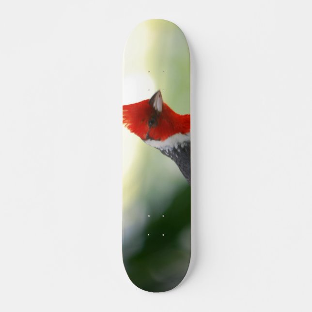 Customize Product Skateboard (Front)