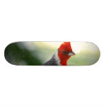 Customize Product Skateboard