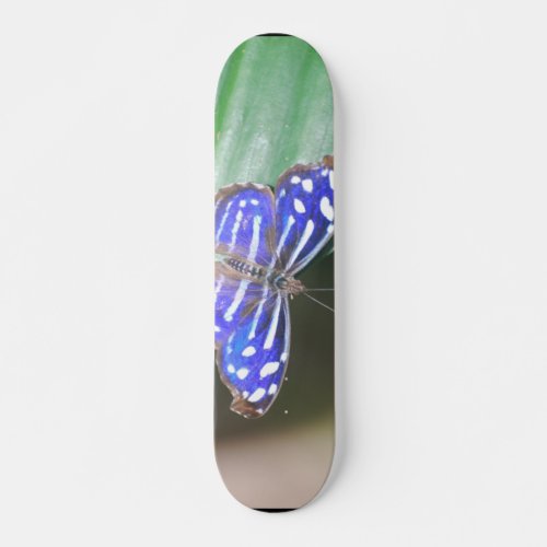 Customize Product Skateboard