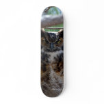 Customize Product Skateboard Deck