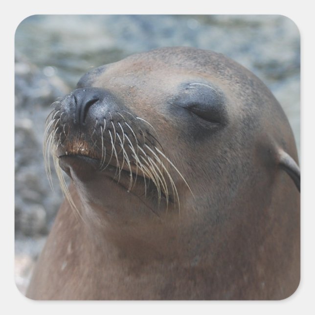 Customize Product Square Sticker (Front)