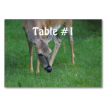 Customize Product Table Number