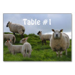 Customize Product Table Number