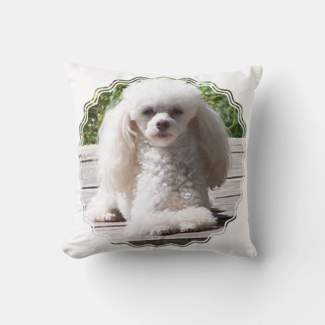 Customize Product Throw Pillow (Front)