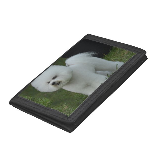 Customize Product Wallet (Bottom)