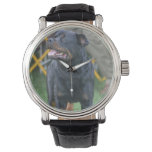 Customize Product Watch