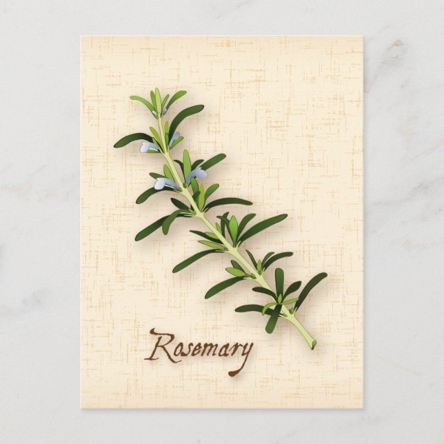 Customize Rosemary Herb Postcard (Front)
