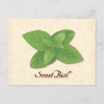 Customize Sweet Basil Postcard by pomegranate_gallery at Zazzle