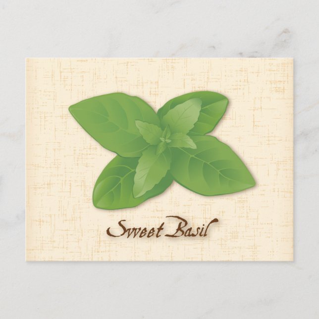 Customize Sweet Basil Postcard (Front)