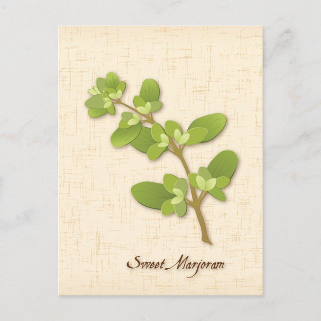 Customize Sweet Marjoram Postcard (Front)
