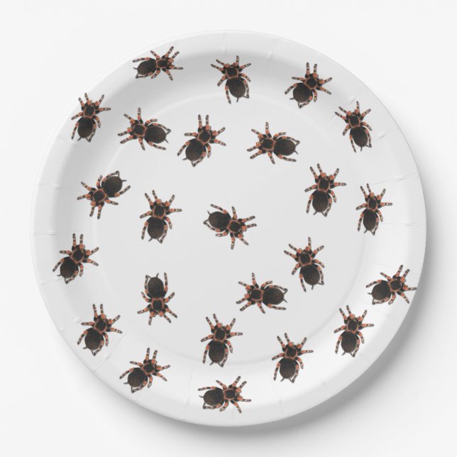 Customize Tarantulas Paper Plates (Front)