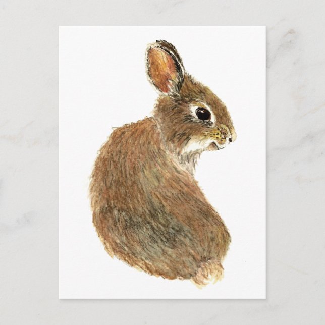 Customize this Curious Rabbit, Watercolor Animal Postcard (Front)