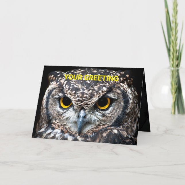 Customize This Owl Card With Your Own Message (Front)