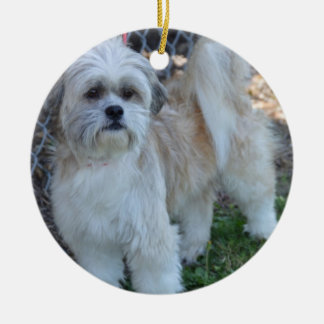 customize w/special photo Christmas Tree Ornaments