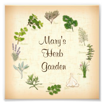 Customize Your Herb Garden Photo Print by pomegranate_gallery at Zazzle