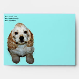 Customize your own envelope