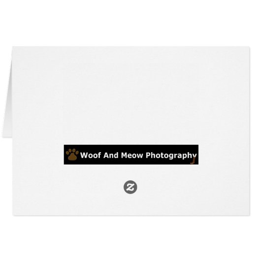 Customize your Own Pet Card (Back Horizontal)