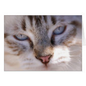 Customize your Own Pet Card (Front Horizontal)