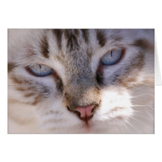 Customize your Own Pet Card