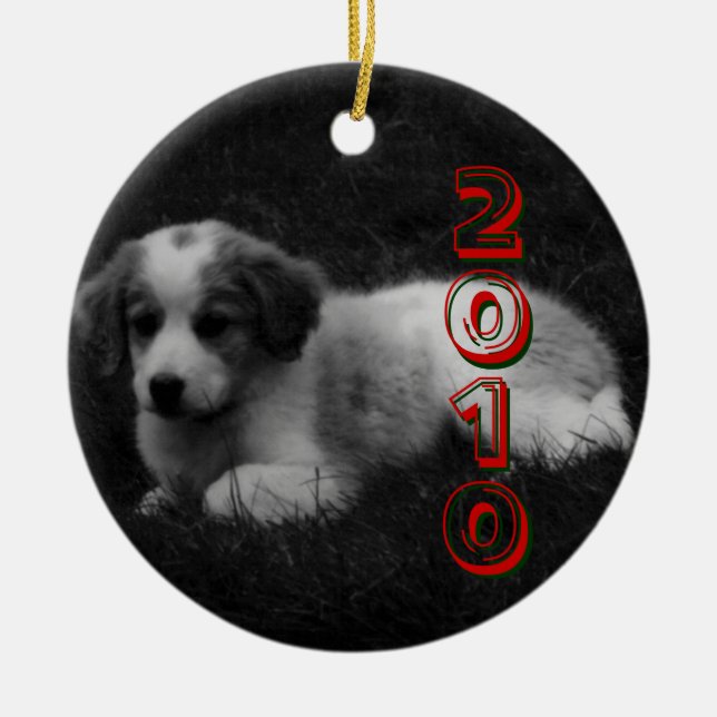 CUSTOMIZE your Puppy's First Christmas Ceramic Ornament (Front)