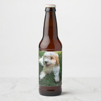 Customized Cavachon Photo, Dog Beer Bottle Label