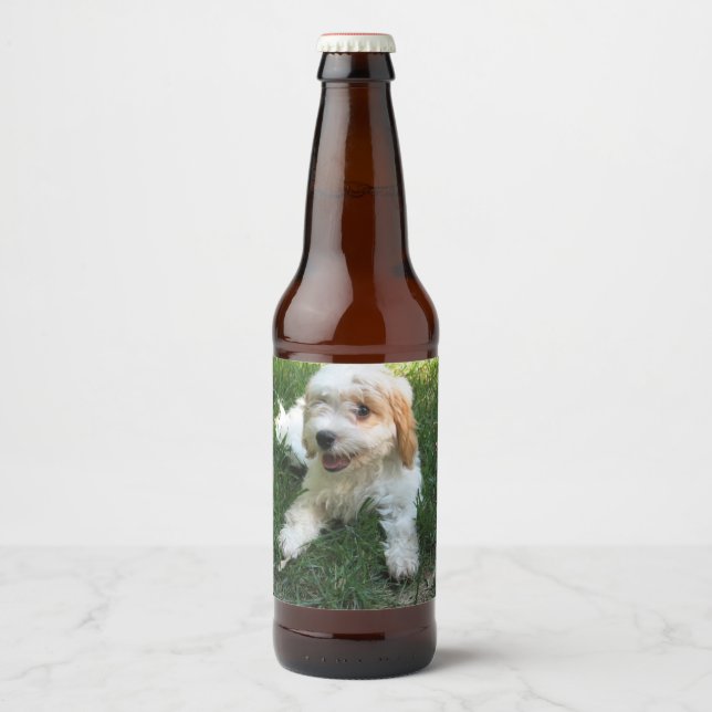 Customized Cavachon Photo, Dog Beer Bottle Label (Front)