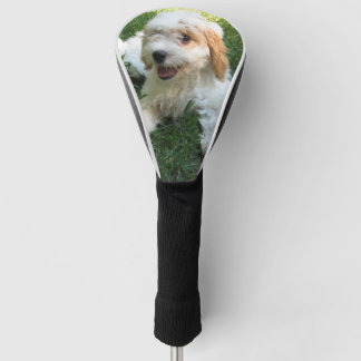 Customized Cavachon Photo, Dog Golf Head Cover