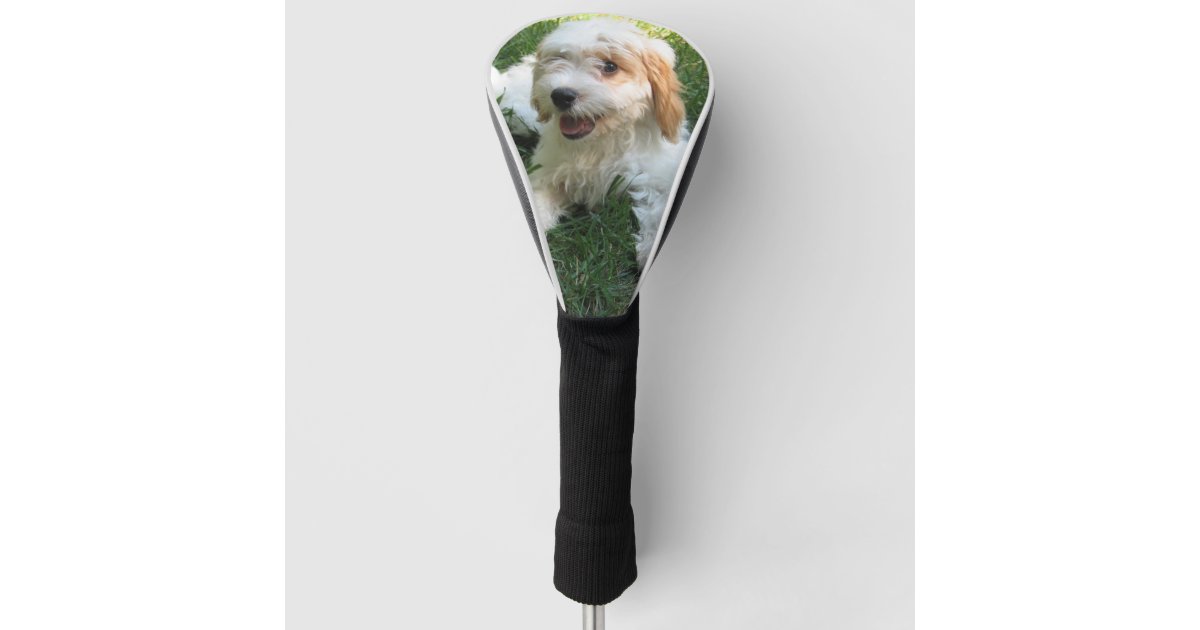 Customized Cavachon Photo, Dog Golf Head Cover Zazzle