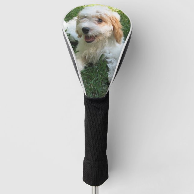 Customized Cavachon Photo, Dog Golf Head Cover (Front)