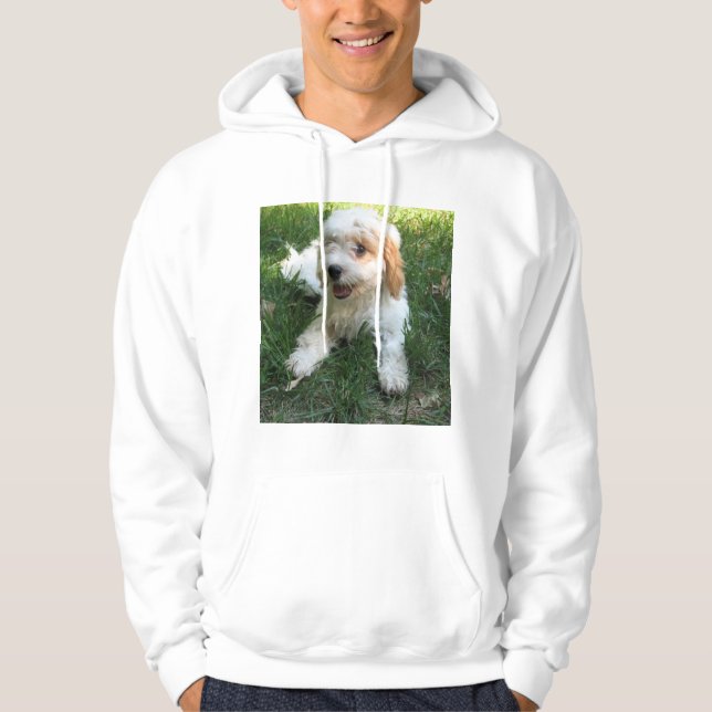 Customized Cavachon Photo, Dog Hoodie (Front)