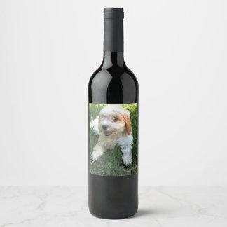 Customized Cavachon Photo, Dog Wine Label