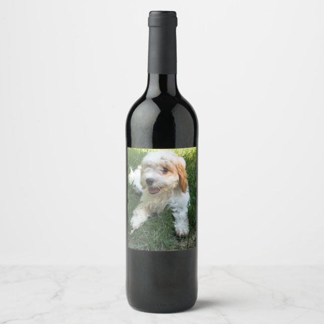 Customized Cavachon Photo, Dog Wine Label (Front)
