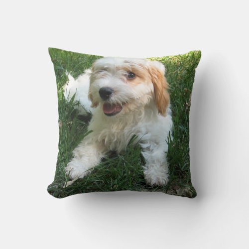 Customized Cavachon Photo Pillow Dog Throw Pillow