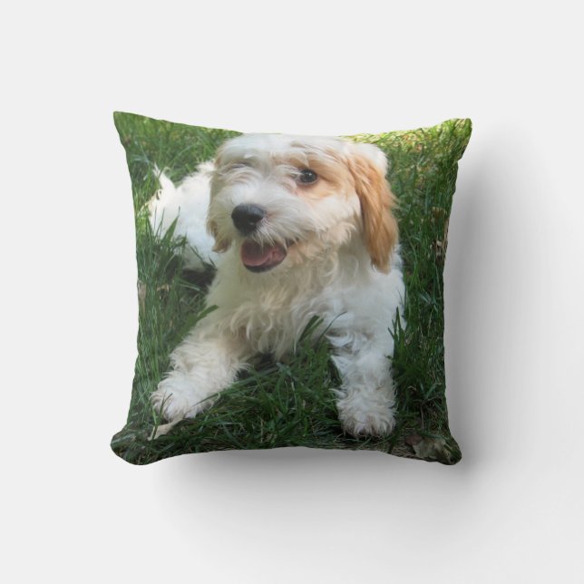 Customized Cavachon Photo Pillow, Dog Throw Pillow (Front)