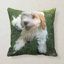 Customized Cavachon Photo Pillow, Dog