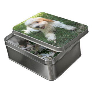 Customized Cavachon Photo Puzzle, Dog Jigsaw Puzzle