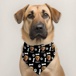 Customized Dog Pet Photo & Name Sage Black Pet Bandana Collar
