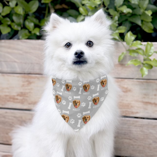 Customized Dog Pet Photo & Name Sage Gray Pet Bandana Collar (Dog)