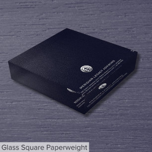 Customized Glass Paperweight with Silver Logo