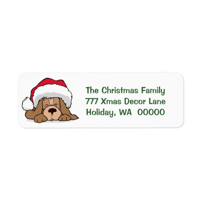 Customized Holiday Card Envelopes Return Address Label (Front)