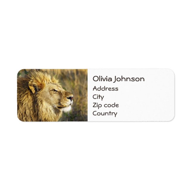 Customized Lion Wild Animal Wildlife Safari Label (Front)